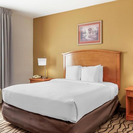 Comfort Inn & Suites Chesapeake - Portsmouth Exterior foto